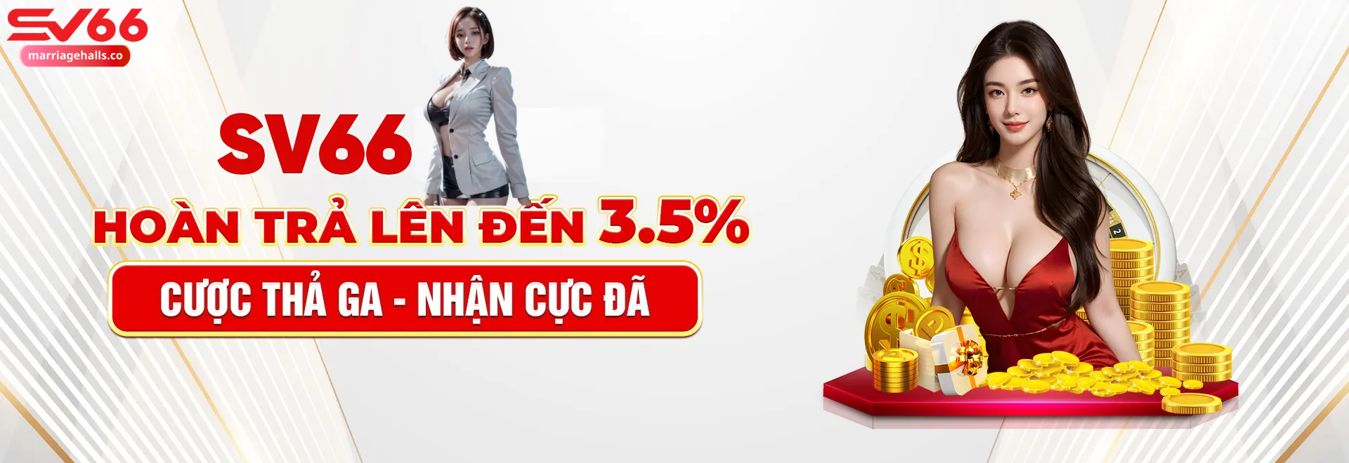 banner sv66