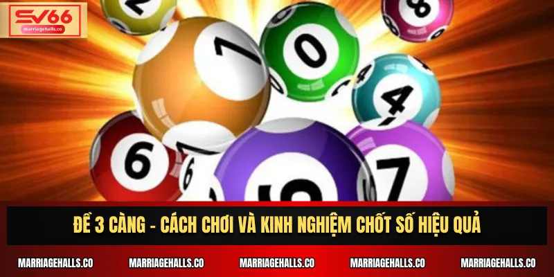 Đề 3 càng
